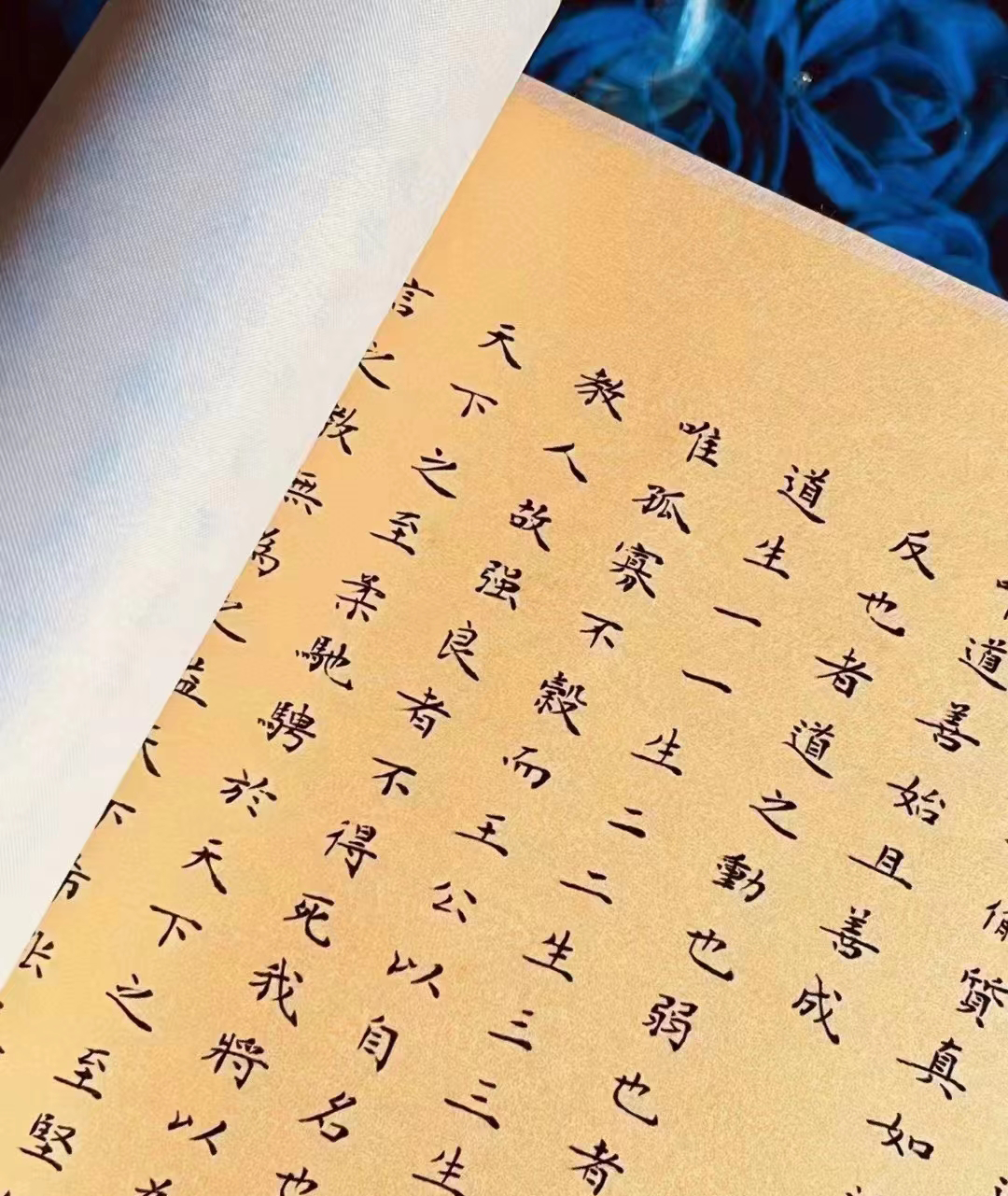 Dao De Jing Silk Manuscript Version A Scroll(Fine Collectibles)